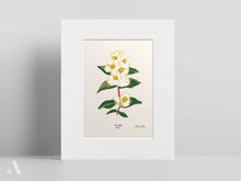 Load image into Gallery viewer, US State Flowers / Small Art Prints