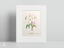 Load image into Gallery viewer, US State Flowers / Small Art Prints