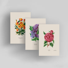 Load image into Gallery viewer, US State Flowers / Small Art Prints