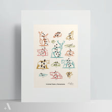 Load image into Gallery viewer, Animal Tracks of PA / Poster Art Print
