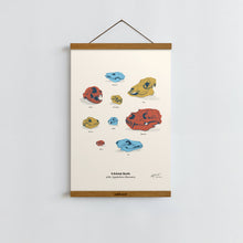Load image into Gallery viewer, Animal Skulls of Appalachia / Poster Art Print