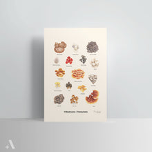Load image into Gallery viewer, Mushrooms of Pennsylvania / Poster Art Print
