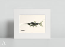 Load image into Gallery viewer, Common Fish of Pennsylvania / Small Art Prints