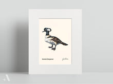 Load image into Gallery viewer, Birds of Pennsylvania / Small Art Prints