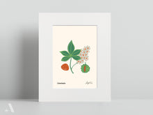 Load image into Gallery viewer, Forageable Plants of Pennsylvania / Small Art Prints