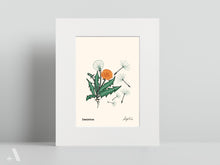 Load image into Gallery viewer, Forageable Plants of Pennsylvania / Small Art Prints