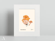 Load image into Gallery viewer, Forageable Plants of Pennsylvania / Small Art Prints