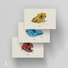 Load image into Gallery viewer, Animal Skulls of Appalachia / Small Art Prints