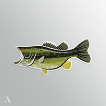 Load image into Gallery viewer, Common Fish of Pennsylvania / Stickers