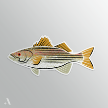 Load image into Gallery viewer, Common Fish of Pennsylvania / Stickers