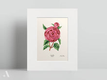 Load image into Gallery viewer, US State Flowers / Small Art Prints
