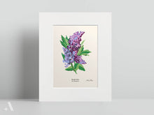 Load image into Gallery viewer, US State Flowers / Small Art Prints
