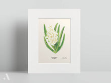 Load image into Gallery viewer, US State Flowers / Small Art Prints
