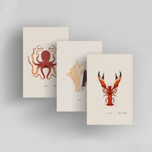 Load image into Gallery viewer, Shellfish / Small Art Prints
