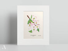 Load image into Gallery viewer, US State Flowers / Small Art Prints

