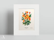 Load image into Gallery viewer, US State Flowers / Small Art Prints
