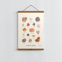 Load image into Gallery viewer, Mushrooms of Pennsylvania / Poster Art Print

