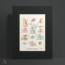 Load image into Gallery viewer, Animal Tracks of PA / Poster Art Print
