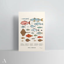 Load image into Gallery viewer, Fish of the Mediterranean / Poster Art Print
