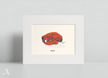 Load image into Gallery viewer, Animal Skulls of Appalachia / Small Art Prints
