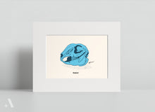 Load image into Gallery viewer, Animal Skulls of Appalachia / Small Art Prints
