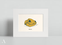 Load image into Gallery viewer, Animal Skulls of Appalachia / Small Art Prints
