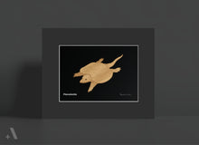 Load image into Gallery viewer, Dinosaurs of the Mesozoic Period / Small Art Prints
