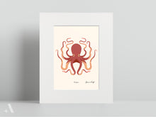 Load image into Gallery viewer, Shellfish / Small Art Prints
