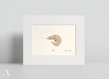 Load image into Gallery viewer, Shellfish / Small Art Prints
