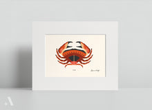Load image into Gallery viewer, Shellfish / Small Art Prints

