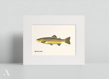 Load image into Gallery viewer, Common Fish of Pennsylvania / Small Art Prints
