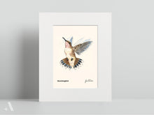 Load image into Gallery viewer, Birds of Pennsylvania / Small Art Prints
