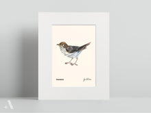 Load image into Gallery viewer, Birds of Pennsylvania / Small Art Prints
