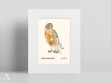 Load image into Gallery viewer, Birds of Pennsylvania / Small Art Prints
