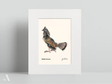 Load image into Gallery viewer, Birds of Pennsylvania / Small Art Prints
