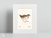 Load image into Gallery viewer, Birds of Pennsylvania / Small Art Prints
