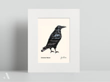 Load image into Gallery viewer, Birds of Pennsylvania / Small Art Prints
