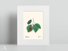 Load image into Gallery viewer, Forageable Plants of Pennsylvania / Small Art Prints
