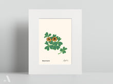 Load image into Gallery viewer, Forageable Plants of Pennsylvania / Small Art Prints
