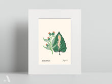 Load image into Gallery viewer, Forageable Plants of Pennsylvania / Small Art Prints
