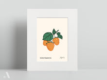 Load image into Gallery viewer, Forageable Plants of Pennsylvania / Small Art Prints
