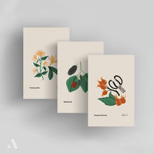 Load image into Gallery viewer, Forageable Plants of Pennsylvania / Small Art Prints
