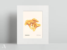 Load image into Gallery viewer, Mushrooms of Pennsylvania / Small Art Prints
