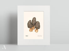 Load image into Gallery viewer, Mushrooms of Pennsylvania / Small Art Prints
