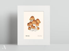 Load image into Gallery viewer, Mushrooms of Pennsylvania / Small Art Prints
