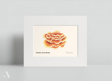Load image into Gallery viewer, Mushrooms of Pennsylvania / Small Art Prints
