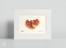 Load image into Gallery viewer, Mushrooms of Pennsylvania / Small Art Prints
