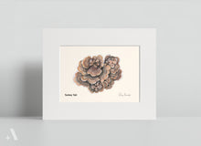 Load image into Gallery viewer, Mushrooms of Pennsylvania / Small Art Prints
