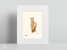 Load image into Gallery viewer, Animals of Farm Country | Small Art Prints
