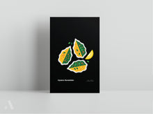 Load image into Gallery viewer, New Orleans Dishes / Small Art Prints
